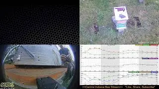 2024/9/21 Network Repair in the Honey Bee Yard. Security Cam Ethernet cable new connector installed.