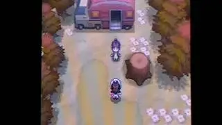 Zoroark Event in Pokemon Black/White