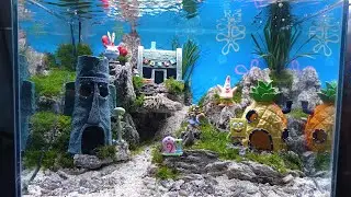 aquascape SpongeBob SquarePants themes