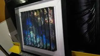 Aquarium-like photographs, displayed in a single 3in1frame.
