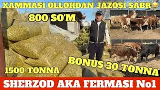 SHERZOD AKA FERMASI ☎️932222555 ☎️996676999 ☎️938789090