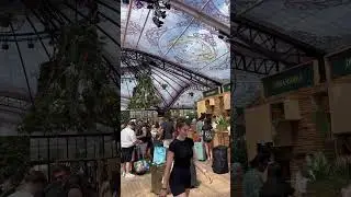 Tomorrowland 🦋 #tomorrowland #montagoe #astera #checkin #flowers #hall