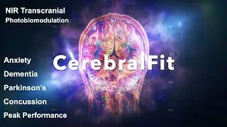 CerebralFit 1070 IR Helmet head strap set up