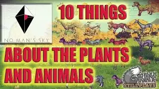 No Man's Sky | The Plants and Animals of No Man's Sky, 10 Things to Know | Top 10 List Gameplay #NMS