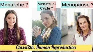 Menarche, Menstrual Cycle, Menopause. #humanreproductionclass12 #neet2026 #cbse #boardexam