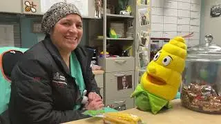 Corn's D.o.T.Y.