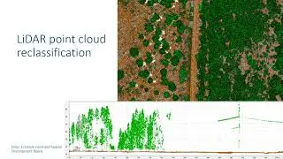 FOSS4G 2025 | Developing a user-oriented data cube for biodiversity and carbon dynamics assessment