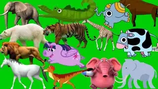 Бегущее животное на зеленом фоне, дикие животные с оттиском 🦛, дикое животное с оттиском 🦕, мульт...