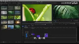 剪辑零基础入门教程6小时，2025版最新PR教程 pr教程 从零开始学剪辑 新手入门实用版 p15 15，源窗口