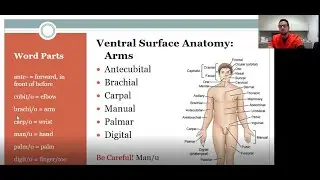 Body Structure and Directional Terminology