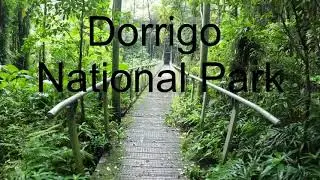 Dorrigo NP  Crystal shower Falls
