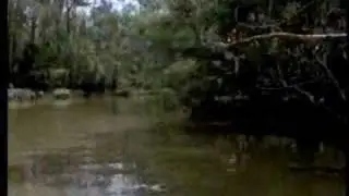 Cajun/Zydeco artist, Lisa Haley - Louisiana - recorded before a live audience