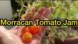 Exotic Moroccan Tomato Jam