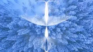 The Snow Lotus by Anilah -  a winter element meditation