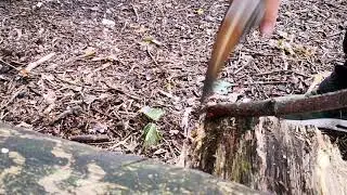 Making tentpoles