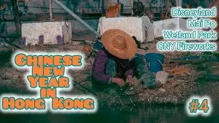 Hong Kong, Chinese New Year 2025, Part 4 - Some birding experience...