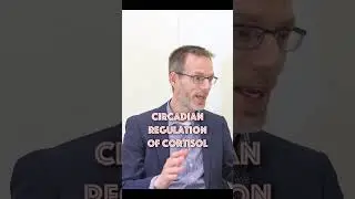 Circadian regulation of cortisol, the stress hormone