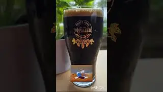 Florida Craft Beer of the Day - Obsidian Bastion By Hopsized Brewing in Bonita Springs.