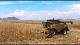 The Drago GT Header - Customer Review 🗣️