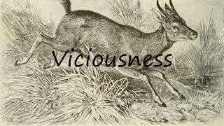 How to Pronounce Viciousness?