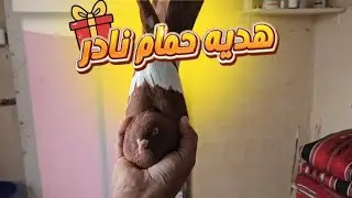 اندر حمام في الاردن جاني هديه🤔🔥