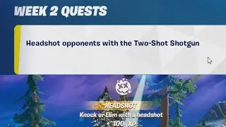 Headshot opponents with the Two Shot Shotgun - NOT WORKING
