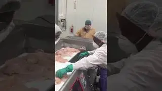 Fresh chicken diced on TREIF's TWISTER