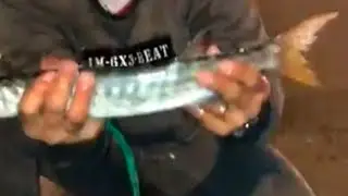 👉👍🦈Satisfying net fishing best video; YouTube video; viral video;