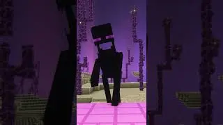 La r&eacute;union des MOBS de l'End dans MINECRAFT ! #minecraft  #humour