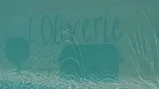 Plongeon piscine camping naturiste l'Oliverie