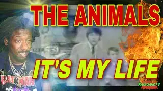 FIRST TIME HEARING The Animals - It's My Life REACTION #TheAnimals
