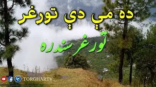 Da Mai Dy Torghar | Torghar Song |