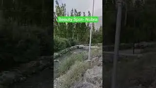 Beauty Spot Nubra#nubra #ladakhtrip #touristplace nubra #ytshorts#shorts @Svadhinata90
