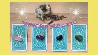 pick a card: september 2020 predictions 🐝🌾🍐