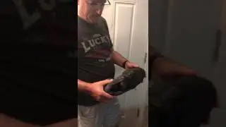 Dad reviews yeezy Dad shoes