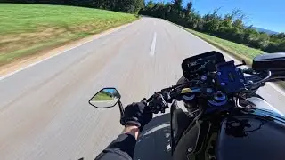 BMW S1000R 2025 Pure Sound (Pops and Bangs) RAW ENGINE SOUND