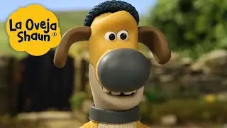 La Oveja Shaun 🐑 🐑😂 El Ovejo Más Travieso 🐑 Dibujos animados para niños