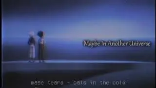 mage tears - cats in the cold (Slowed + Reverb)