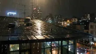 Peaceful Night Rain & Gentle Thunder | Fall Asleep Instantly with Realistic Roof Sounds