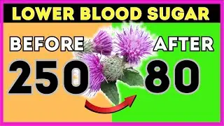 Why Should Most Diabetic Patients Use Milk Thistle? (LOWER BLOOD SUGAR)