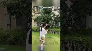 No Ladder Needed! Easy Fruit Picker Tool 🍏💕#aliexpress #ali