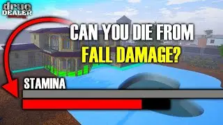 DDS - Can Fall Damage Kill You?