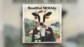 Vintage Soul Samples - Soulful MOOds Vol. 4 by Moo Latte (Preview)