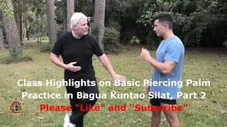 Class Highlights on Basic Piercing Palm Practice in Bagua Kuntao Silat, Part 2