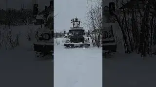 131 может
