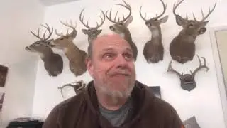 These deer rifles are ballistic triplets
