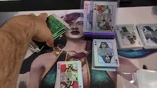 Part 2 - Kryptik Poker Foil Pack Opening - Completing my poker set