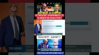 #merz #umfrage #cdu #afd #wahl #regierung #katastrophe #fakten
