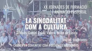 La sinodalitat com a cultura