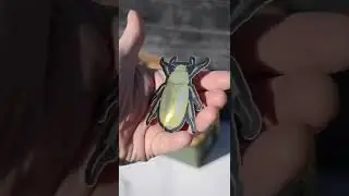 Taking a look at the #jewel #scarab #beetle #bugbox from March. #bug #enamelpins #subscriptionbox